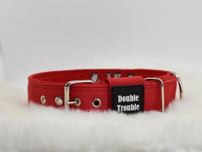 Ovratnica CLASSIC PRO– rdeča - slika 3