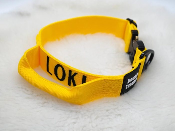 Ovratnica K9 CLASSIC - temno rumena - slika 3