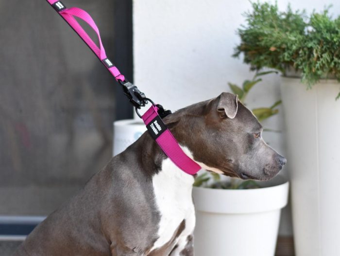 Povodec K9 - pink - slika 2