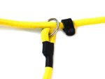 Training/Transitional Leash 10mm – Yellow - Image 10