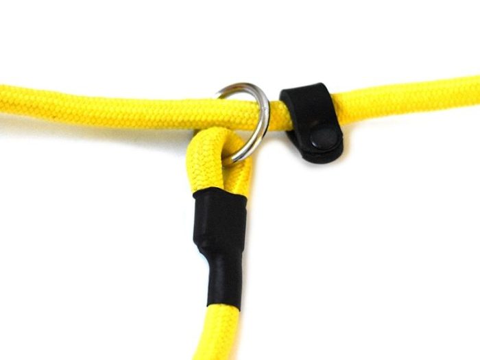 Training/Transitional Leash 10mm – Yellow - Image 10