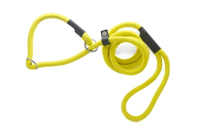 Training/Transitional Leash 10mm – Yellow - Image 9