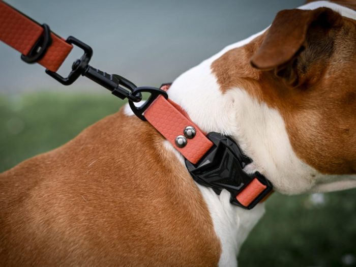 Vodoodporna COBRA ovratnica – 2,5cm, roza - slika 6