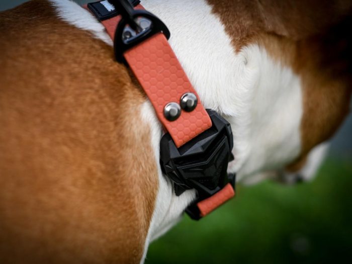 Vodoodporna COBRA ovratnica – 2,5cm, roza - slika 3