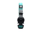 Waterproof COBRA Collar - 2,5cm, Turquoise/Grey - Image 2