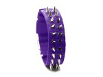 SPIKE Collar Classic – Purple