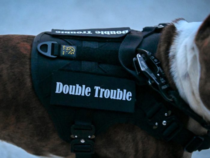 Personaliziran PRINT našitek (odstranljiv) - slika 4