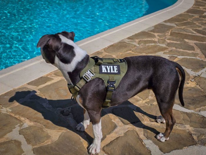 Multifunctional Tactical Dog Harness - Red - Image 7