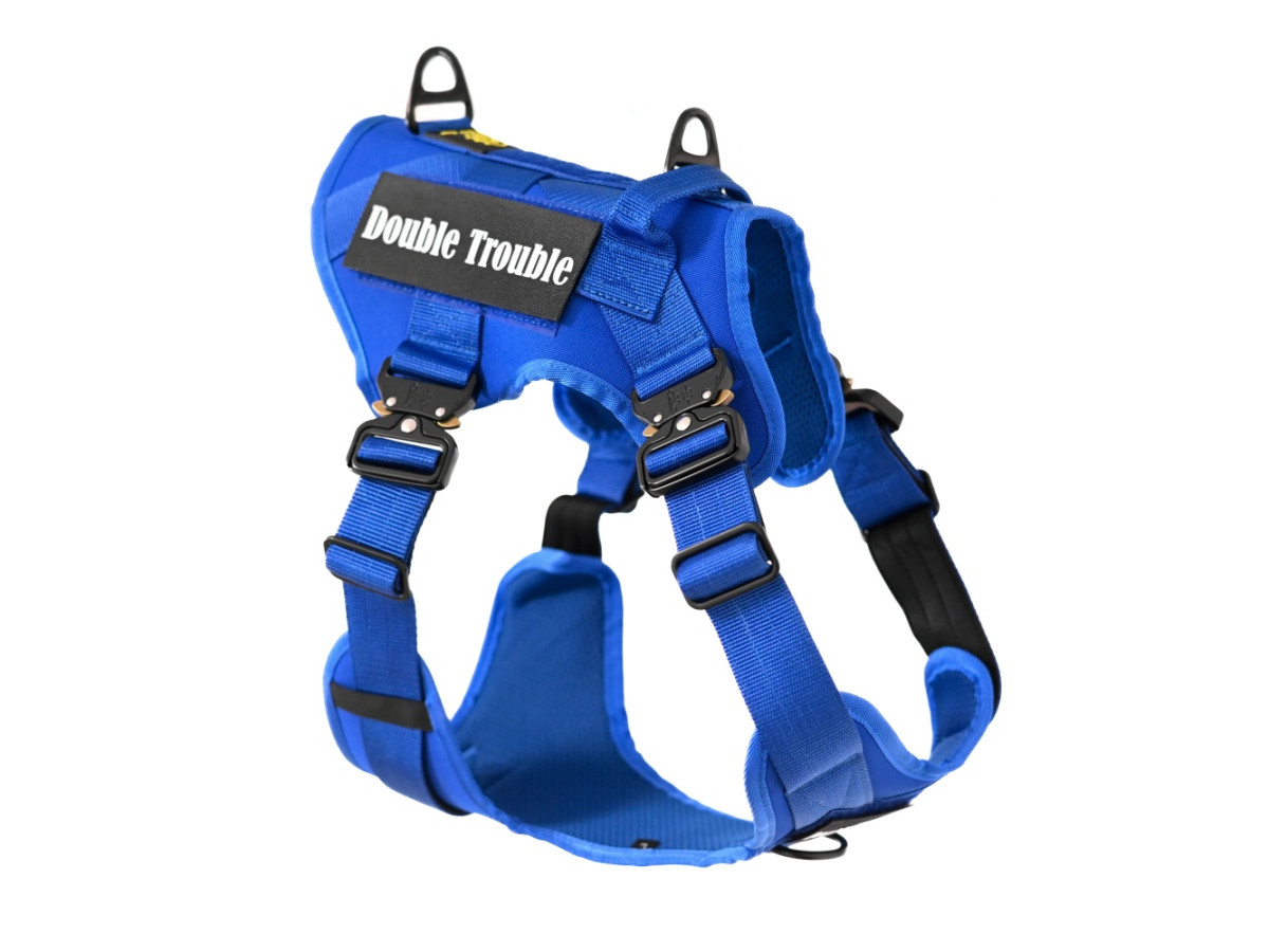 blue tactical harness Multifunctional Tactical Dog Harness - Blue - Image 1